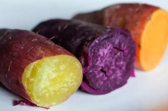 Três batatas-doces cortadas, com polpas roxa, amarela e laranja, sobre fundo branco.