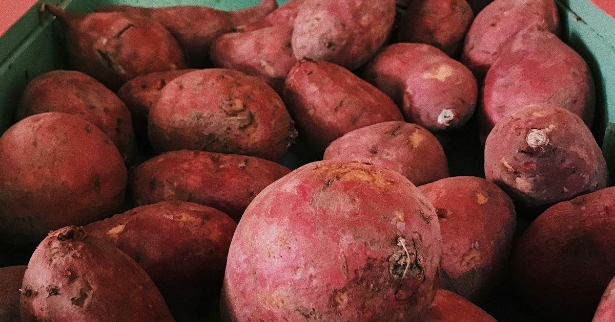 Batata-doce no mercado internacional: como o Brasil pode aproveitar a alta demanda global