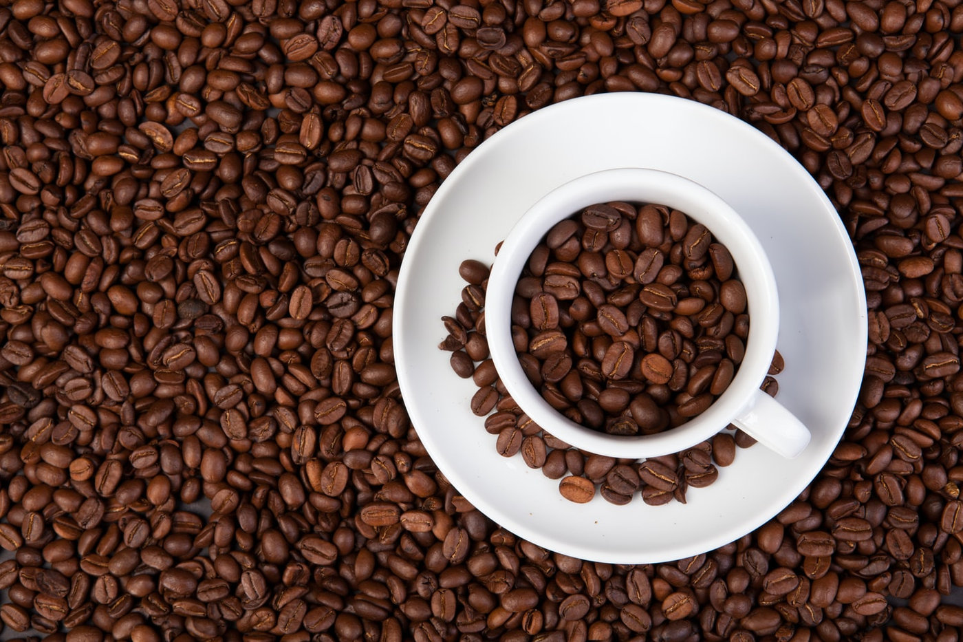 Exportação de café especial (Sul de Minas)