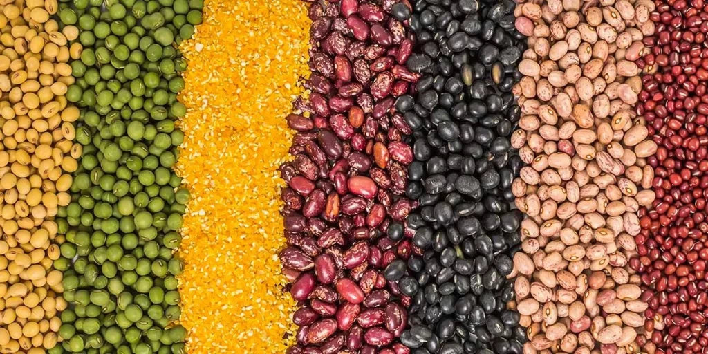 Exportação de grãos (Uganda)