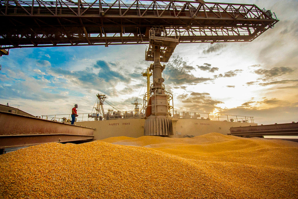 Produtor em busca do primeiro mercado internacional
